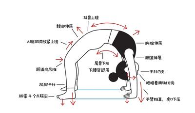 每日瑜伽app如何进行打卡