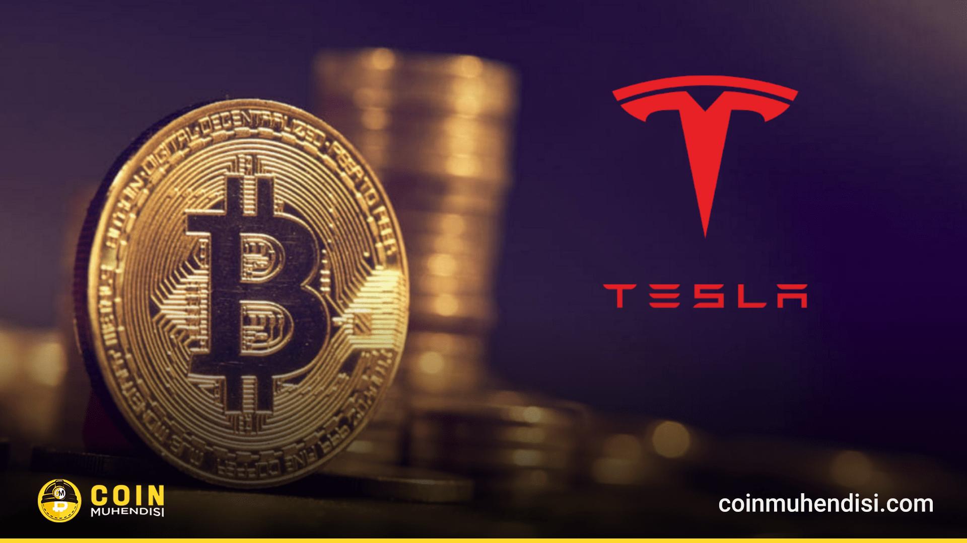 特斯拉未动比特币！公司BTC储备不变