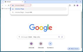 谷歌浏览器怎么开启memory功能