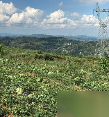 恐怖黎明 挑战绿色路面