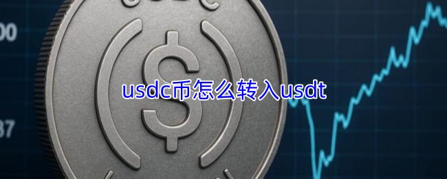 usdc币怎么转入usdt